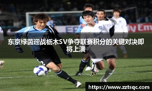 yy体育